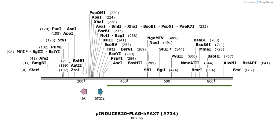 152283_map