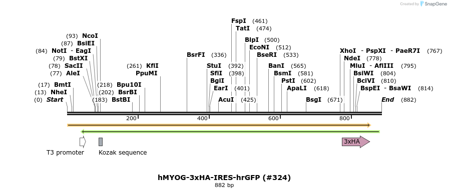152285_map