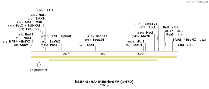 152294_map