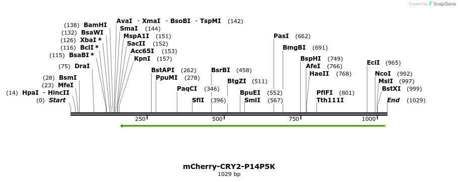 152296_map