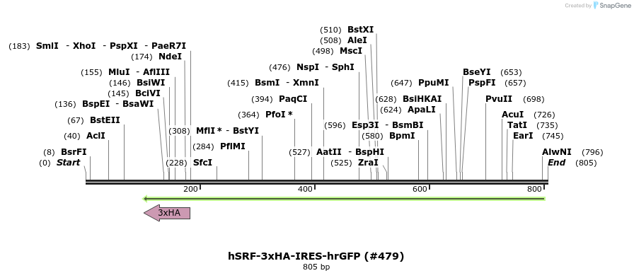 152297_map