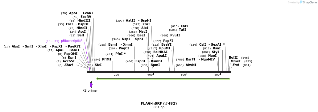152302_map