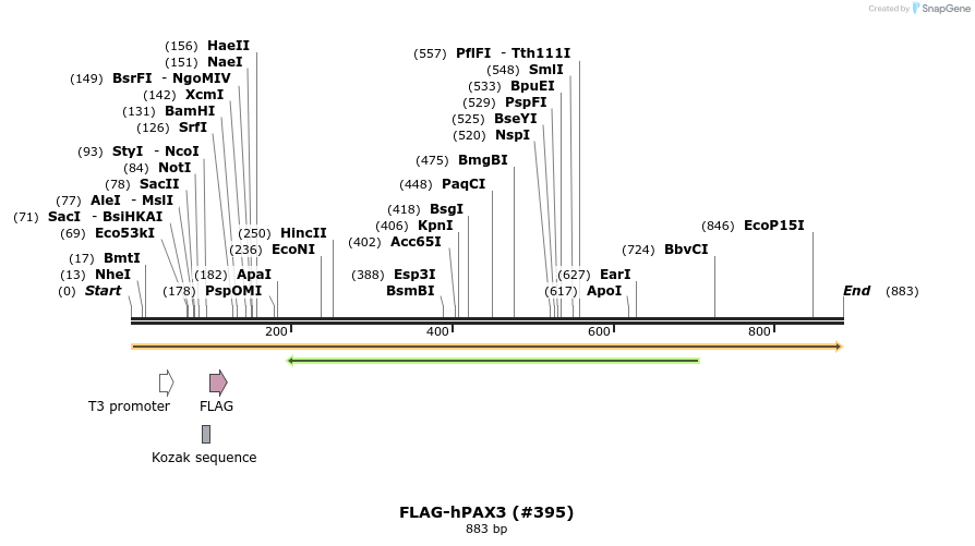 152304_map