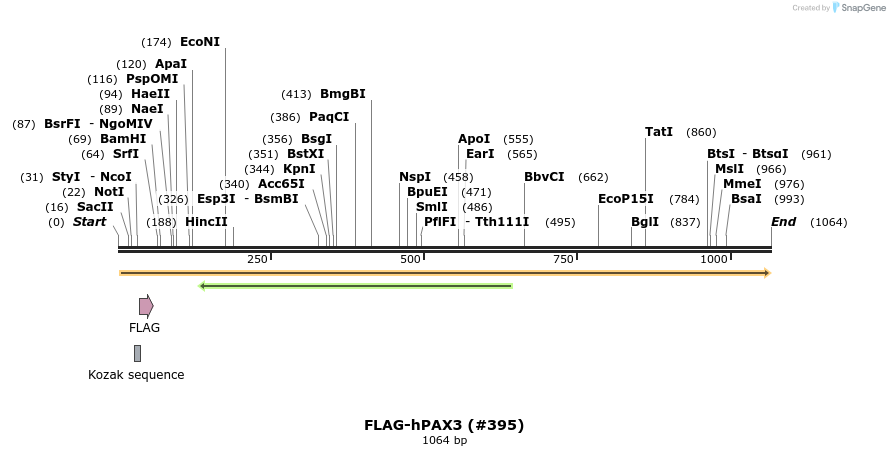 152305_map