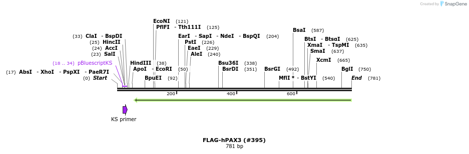 152307_map