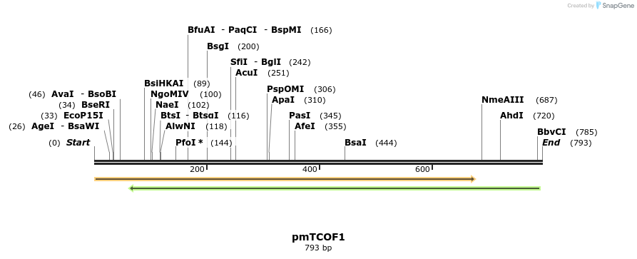 152311_map