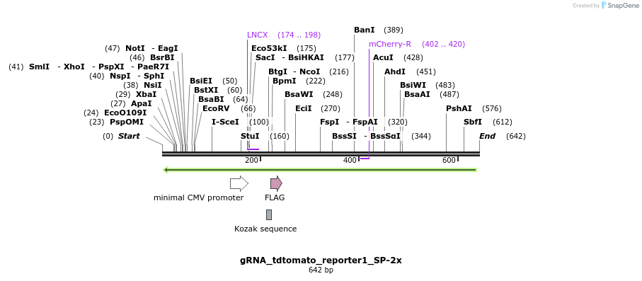 152312_map