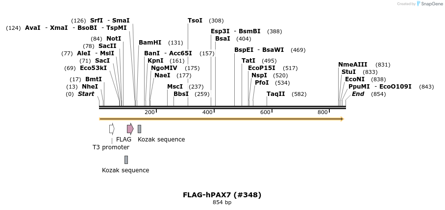 152316_map
