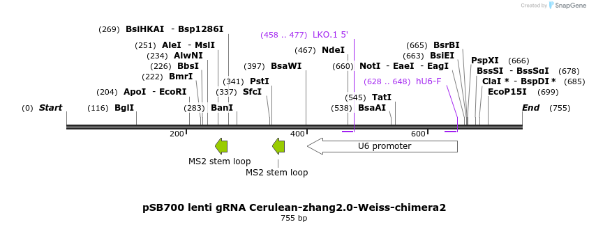 152317_map