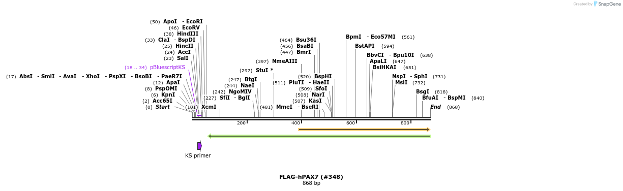 152318_map