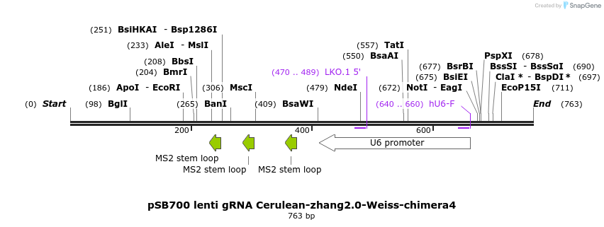 152320_map