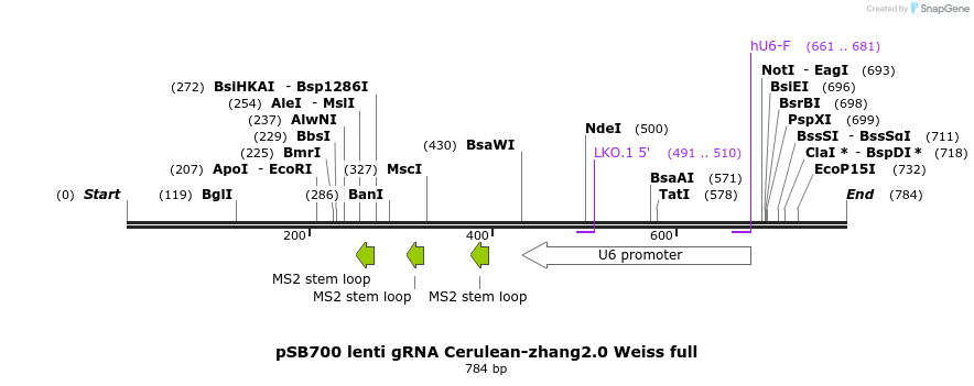 152321_map