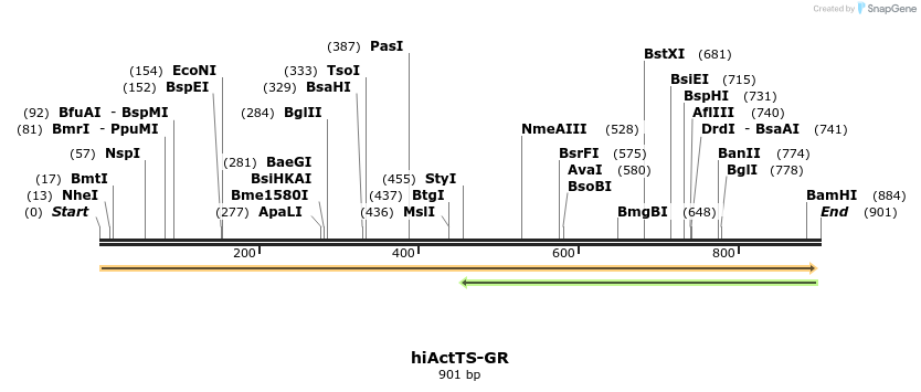 152326_map