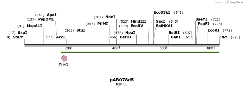 152333_map