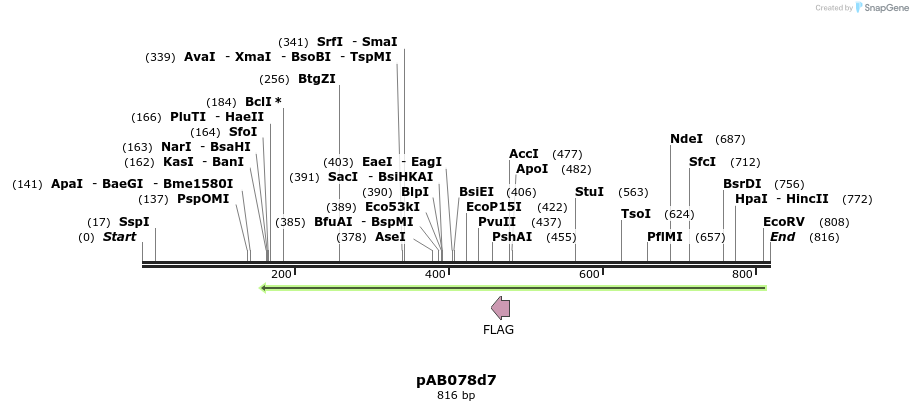 152334_map