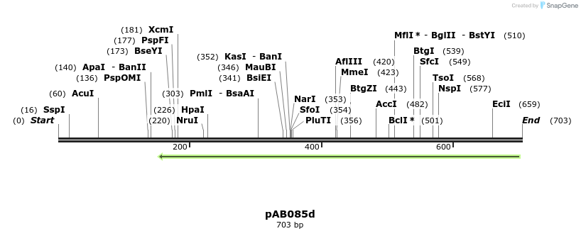 152339_map