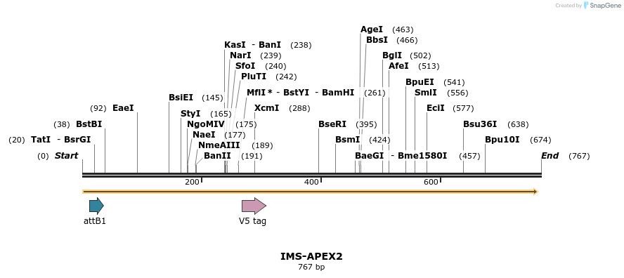 152345_map