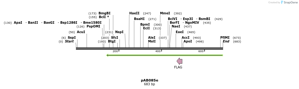 152347_map