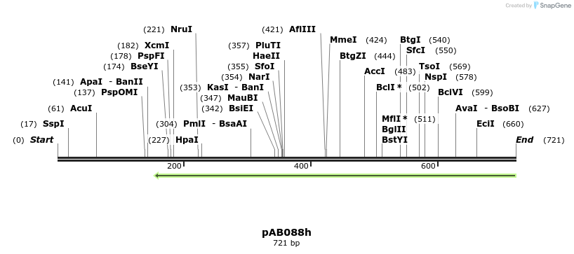 152348_map