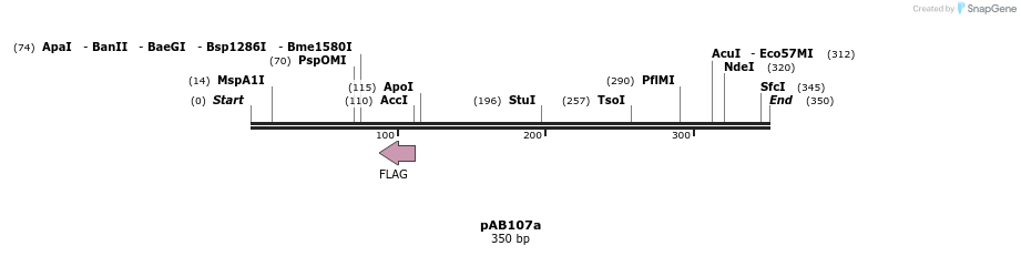 152364_map