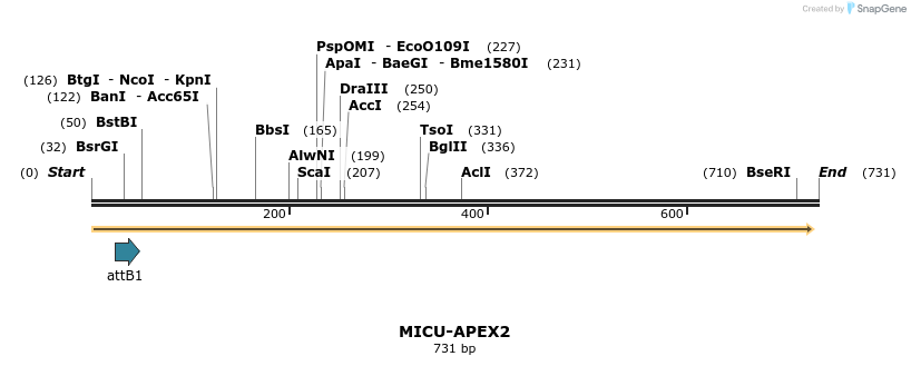 152365_map