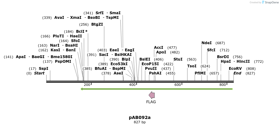 152366_map
