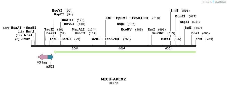152367_map