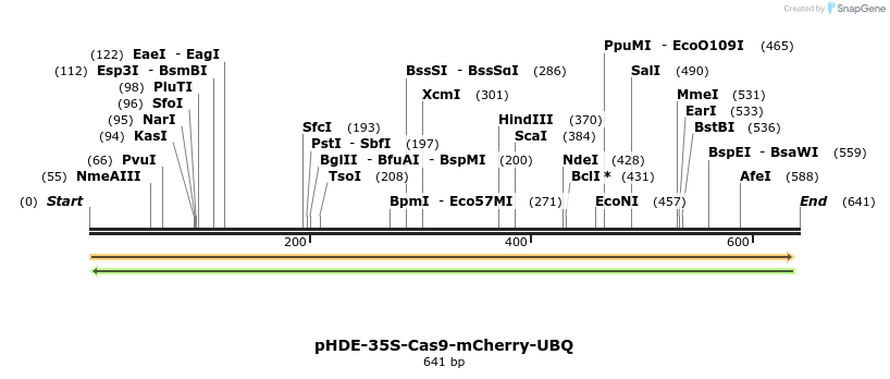 152378_map