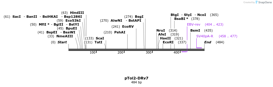 152387_map