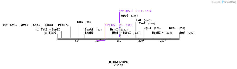 152399_map