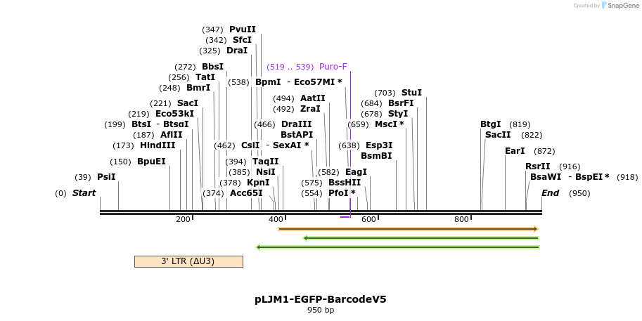 152402_map