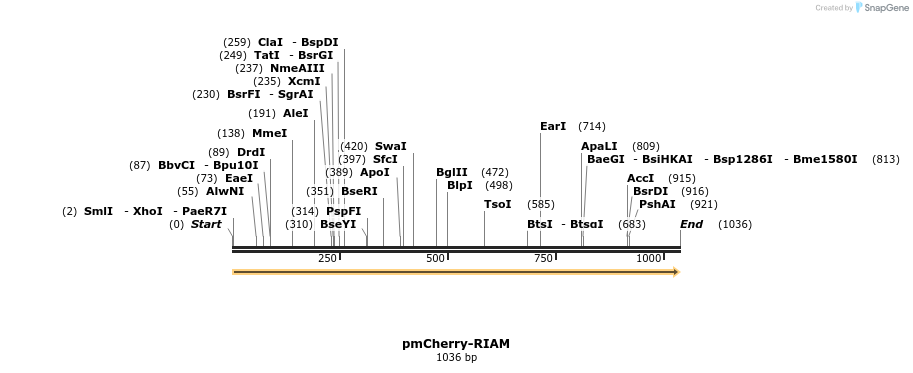 152408_map