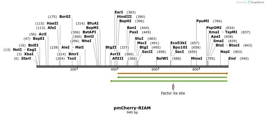 152409_map