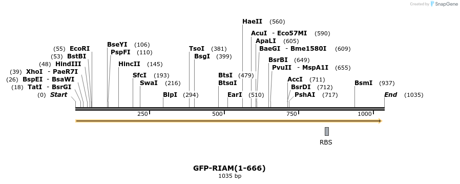 152414_map