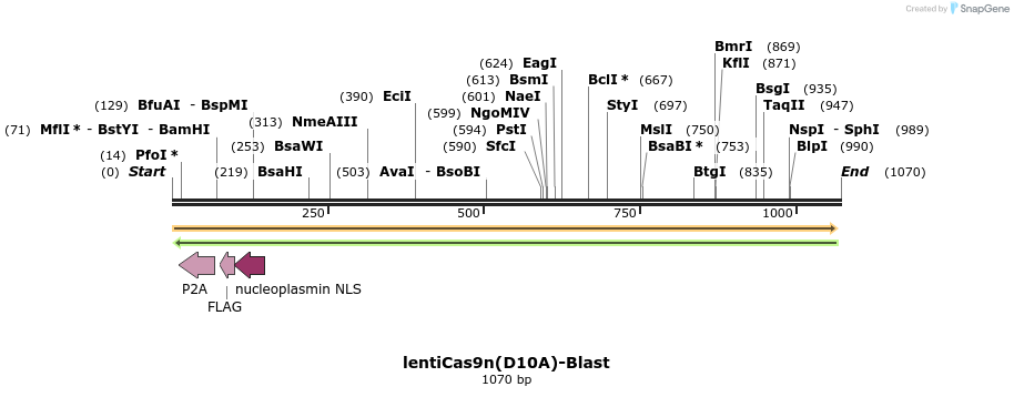 152416_map