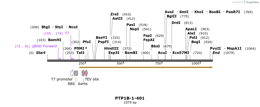 152424_map
