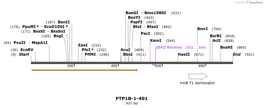 152425_map