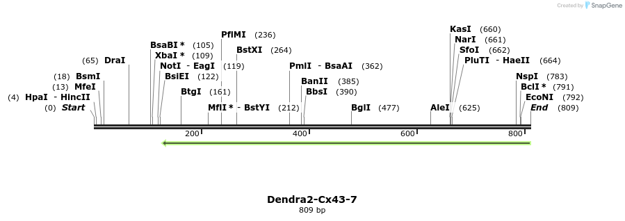 152478_map