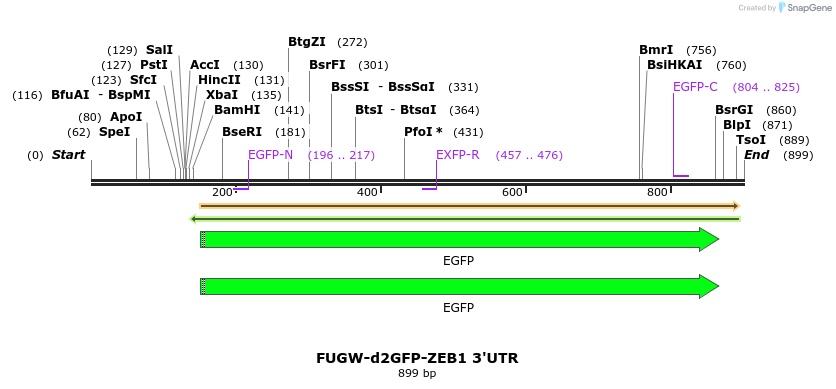 152491_map