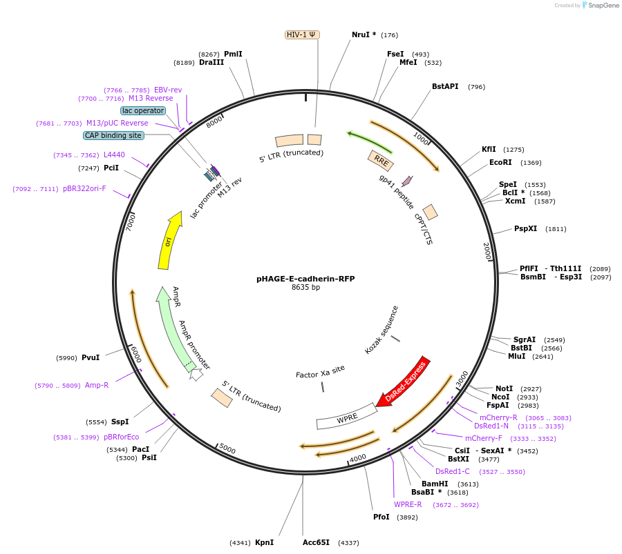 152509_map