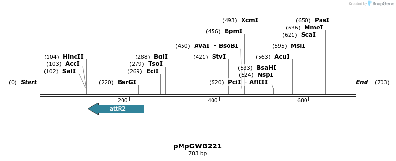 152518_map
