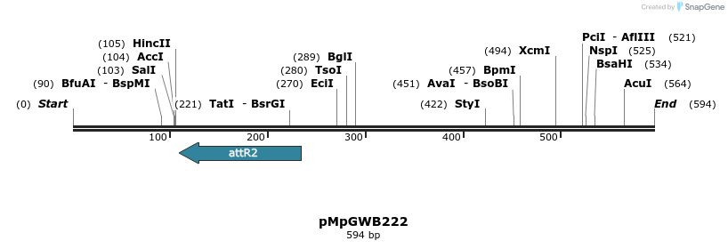 152521_map