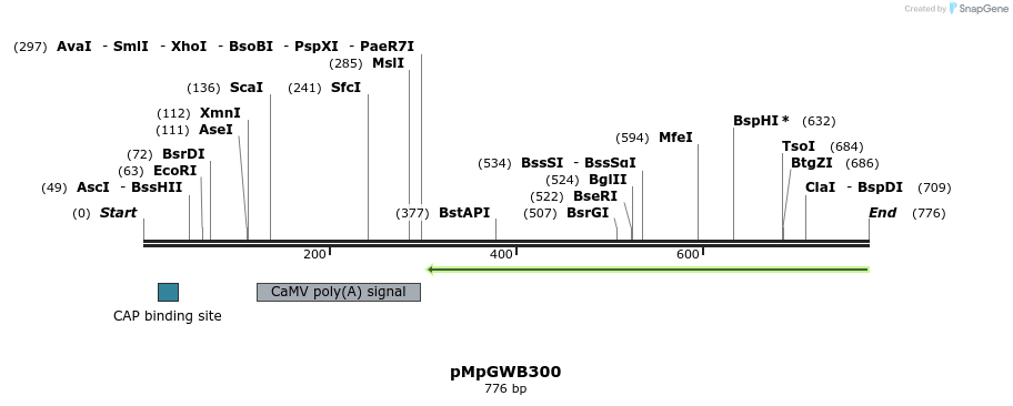 152523_map