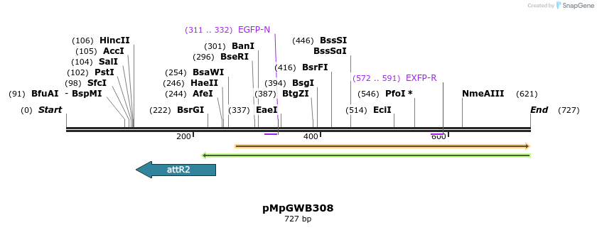 152531_map