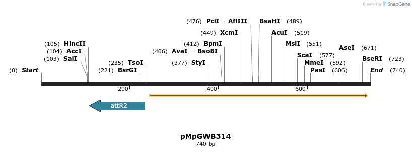 152540_map
