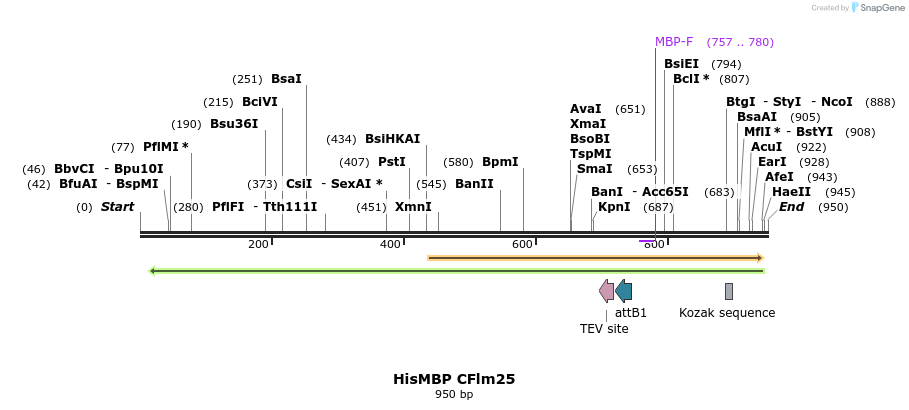 152549_map