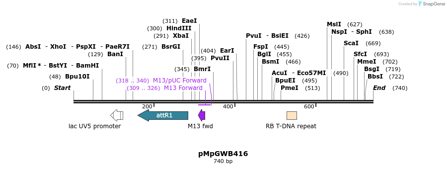 152550_map