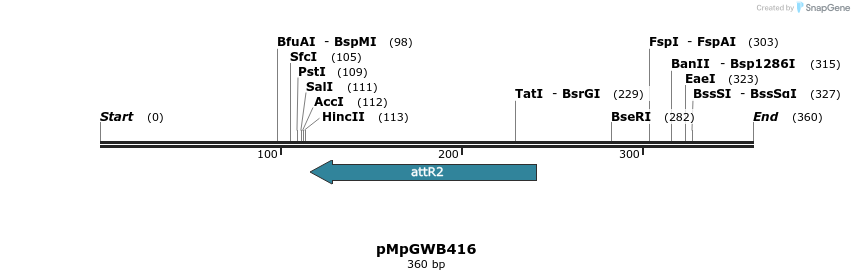 152551_map