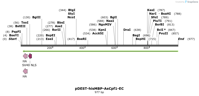 152556_map