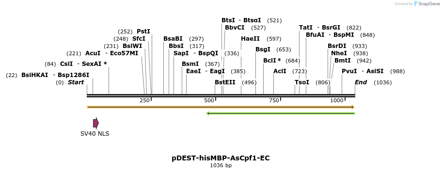 152558_map
